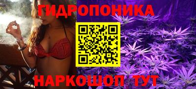 мдпв Тверь
