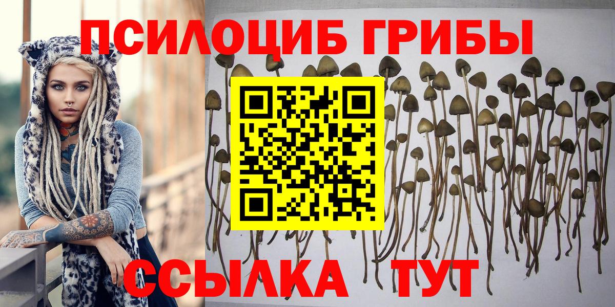 Галлюциногенные грибы MAGIC MUSHROOMS  Вход с VPN  Нижневартовск 