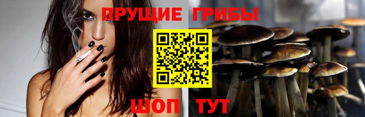 Псилоцибиновые грибы Magic Shrooms Нижневартовск